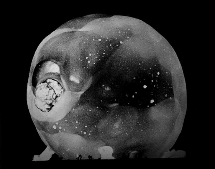 Professor Edgerton's Atomic Camera